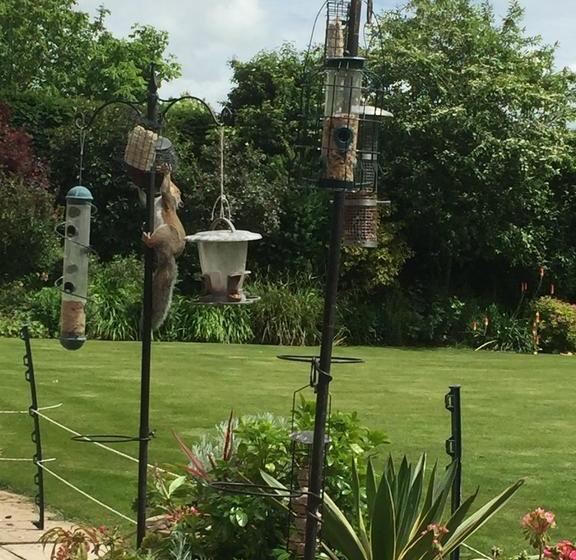 Castle Farmhouse Bed And Breakfast