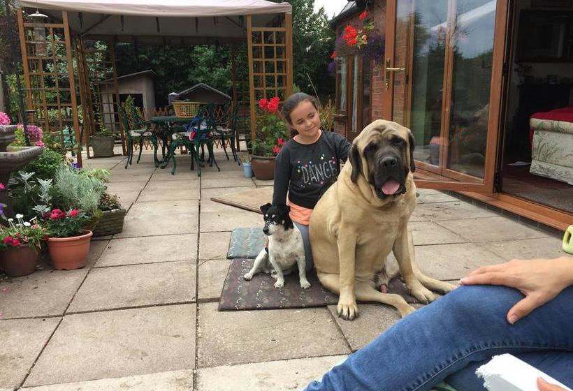 Castle Farmhouse Bed And Breakfast