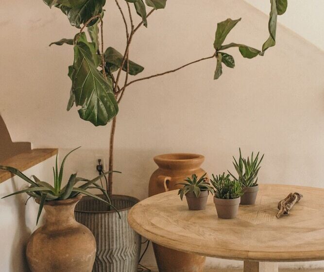 בית מלון כפרי Calamigos Guest Ranch And Beach Club