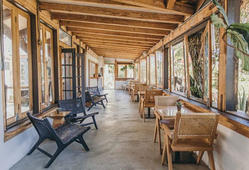 בית מלון כפרי Calamigos Guest Ranch And Beach Club