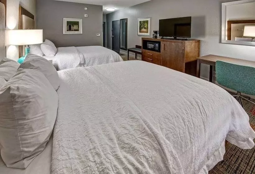 ホテル Hampton Inn Summerville Sc