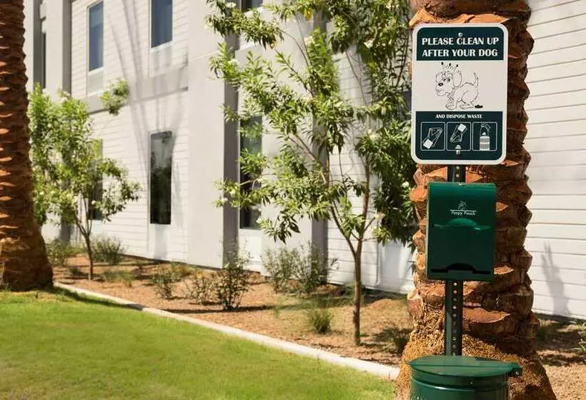 ホテル Home2 Suites By Hilton Phoenix Chandler