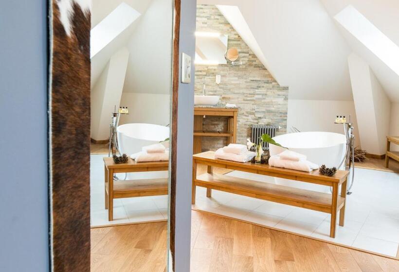 هتل Hôtel Spa Marotte