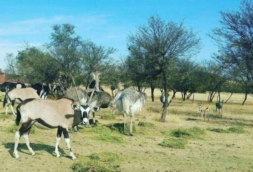 酒店 Sangiro Game Lodge