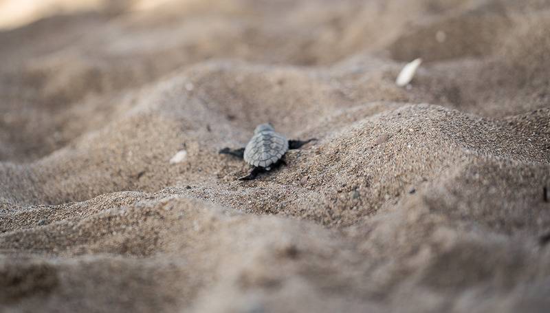 בית מלון כפרי Sensitive Premium Resort & Spa All Inclusive