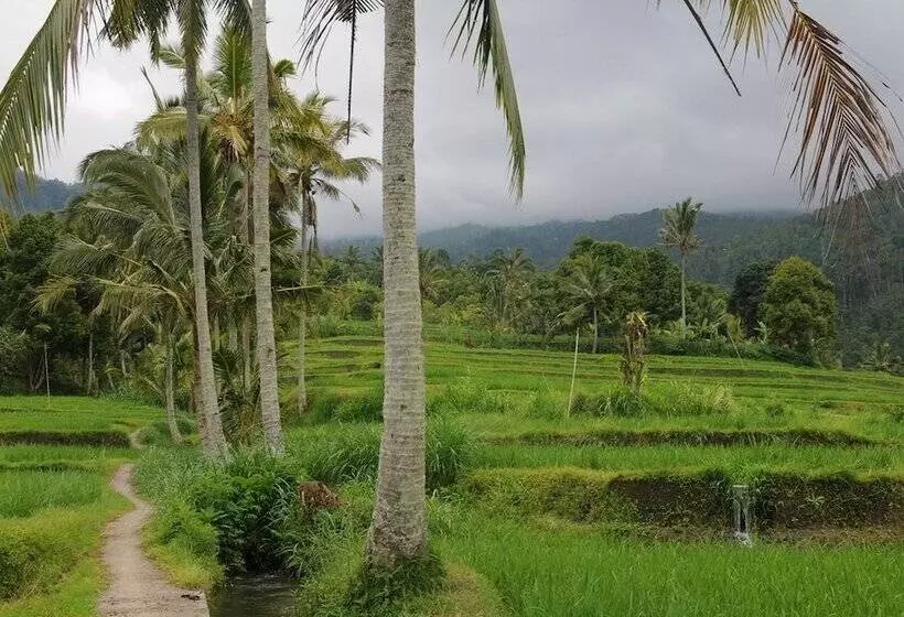 ペンション Karang Sari Guesthouse & Restaurant