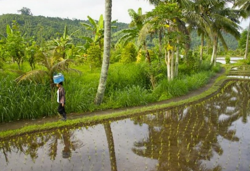 펜션 Karang Sari Guesthouse & Restaurant