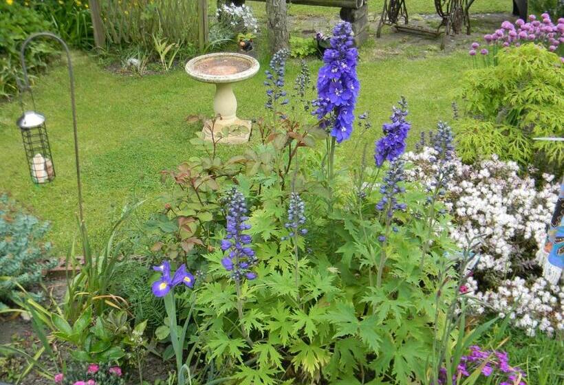 Ugiebrae House Bed & Breakfast