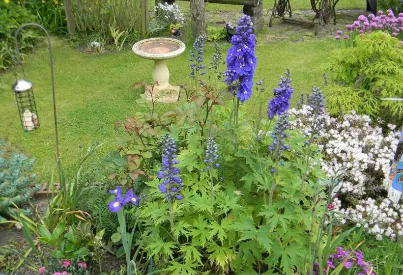 Ugiebrae House Bed & Breakfast