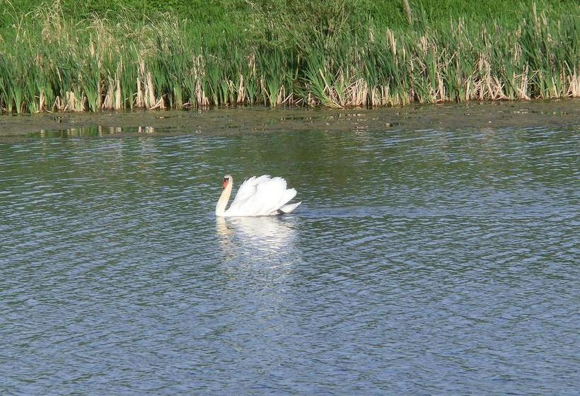 Hostel Domäne Neu Gaarz