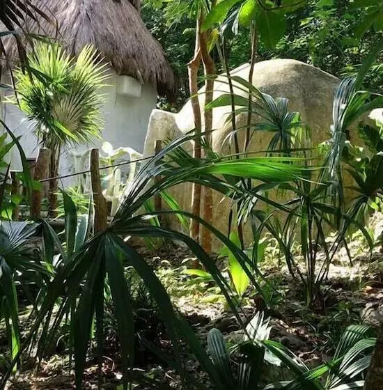 ホテル Kambulum Nature Eco Villas