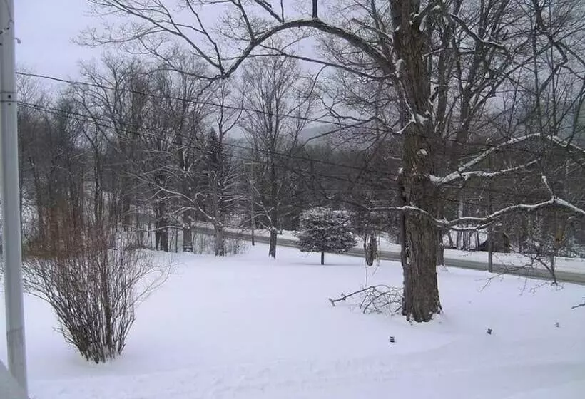 Locust Tree Bed And Breakfast Llc