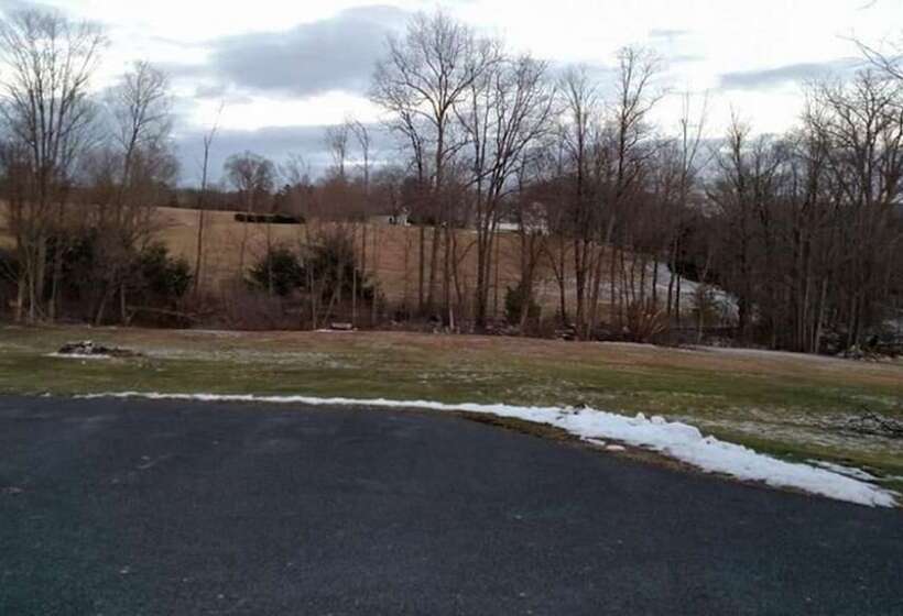 Locust Tree Bed And Breakfast Llc