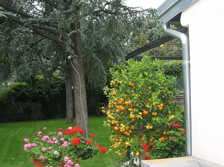 Mister Etna B&b