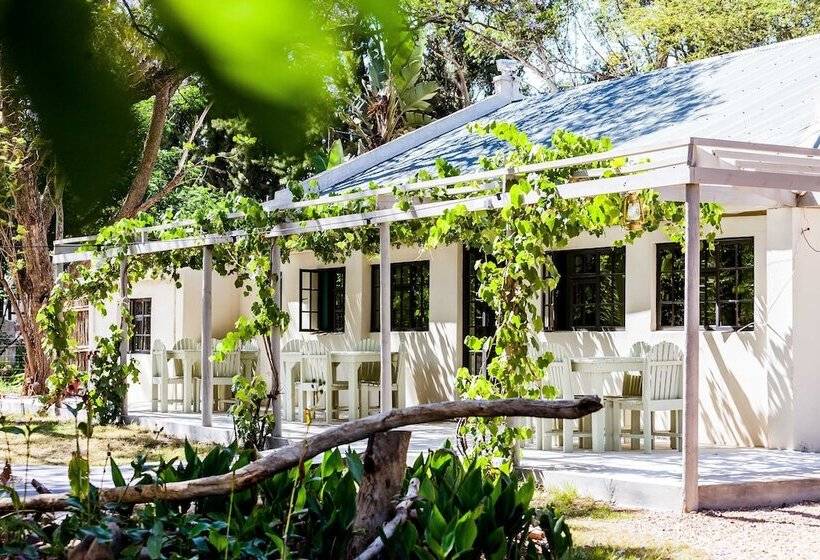 Pension Addo African Home