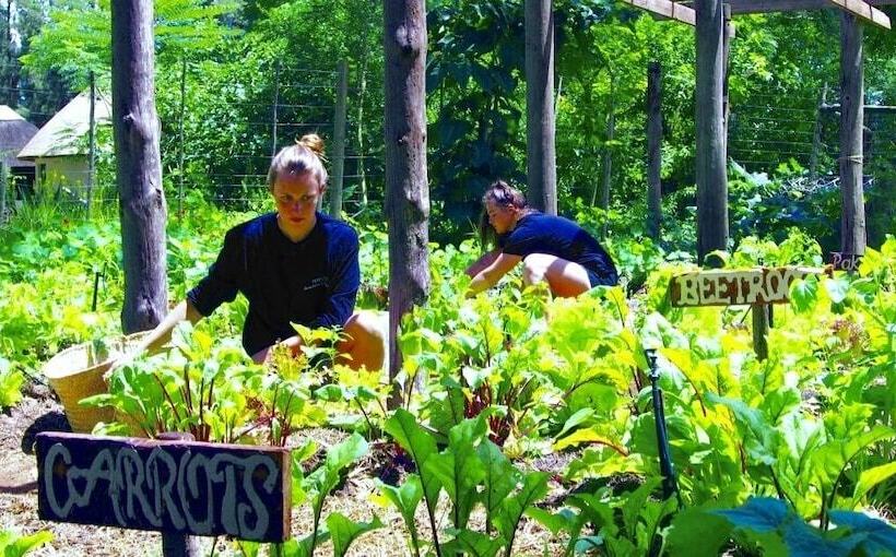 Pension Addo African Home