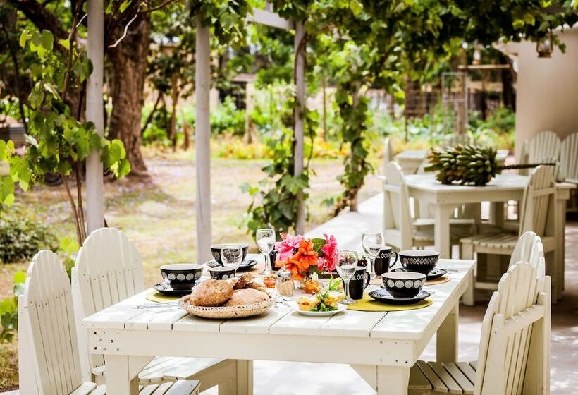 Pension Addo African Home