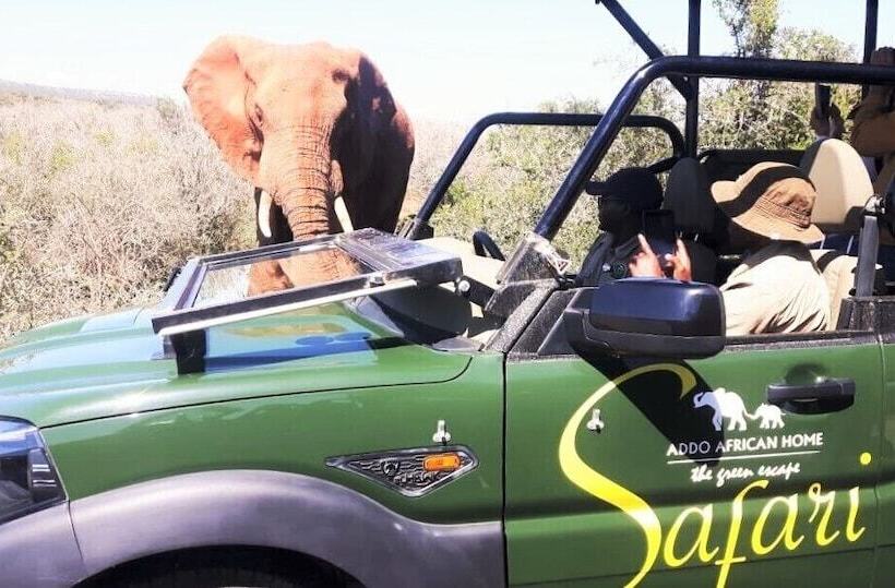 Pension Addo African Home