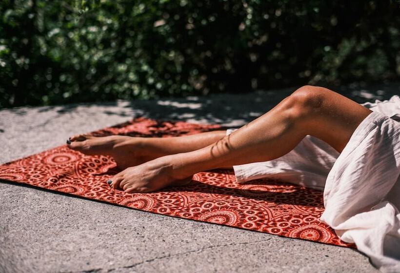 Pension Addo African Home