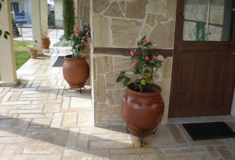 بنسيون Olympia Guesthouse