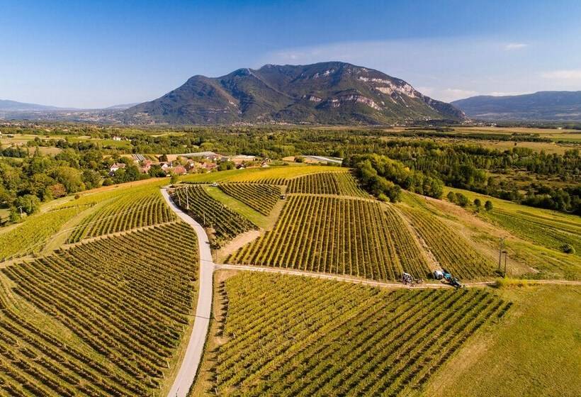 مسافرخانه 1 Rte De Contrevoz