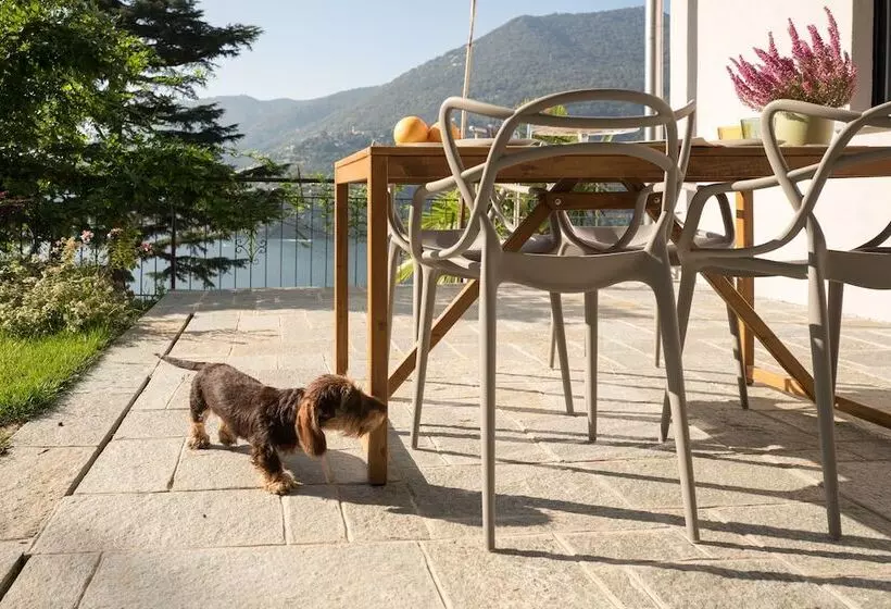Hostelli Villa Olivo