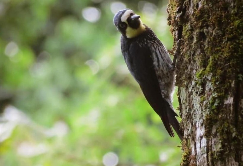 בית מלון כפרי Cerro Tusa Springs
