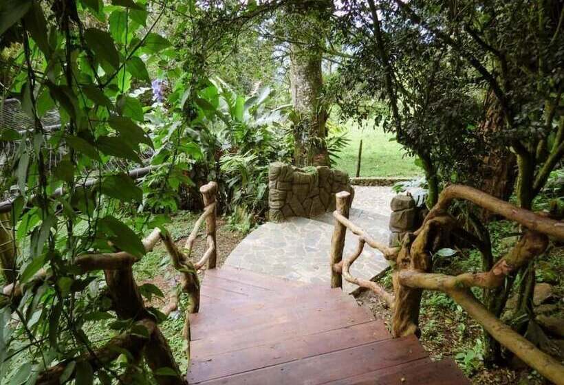 בית מלון כפרי Cerro Tusa Springs