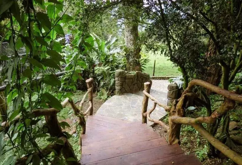 Hotelli Cerro Tusa Springs