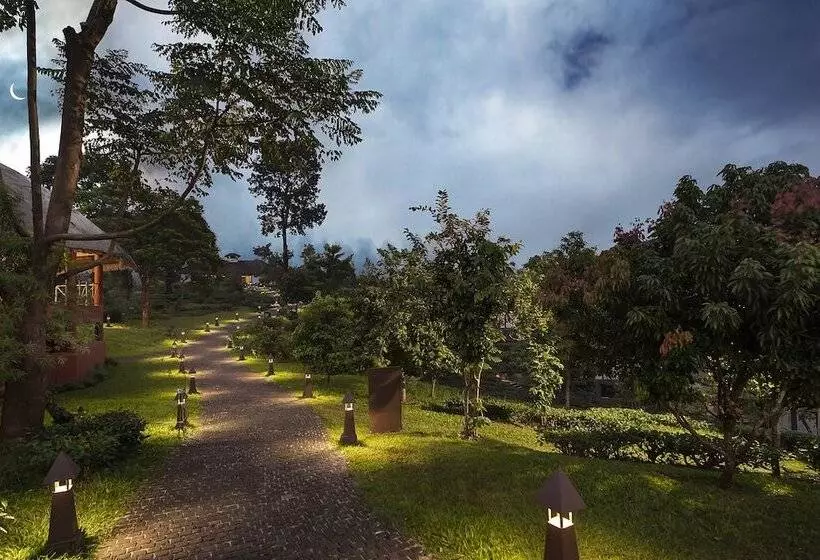 ホテル Jeevess Wellness Resort