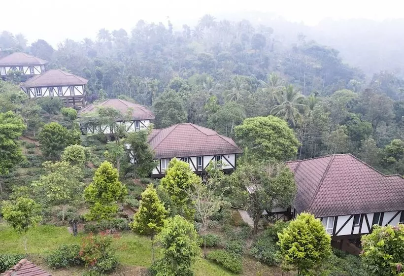 ホテル Jeevess Wellness Resort