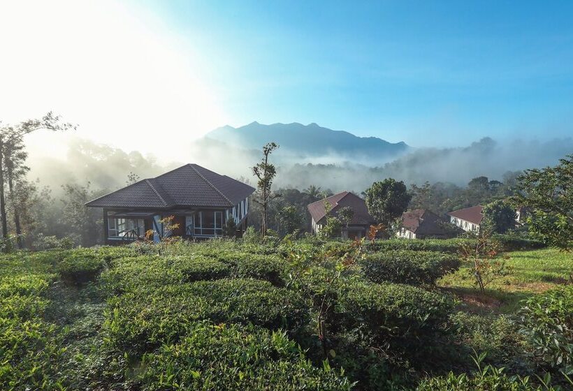 호텔 Jeevess Wellness Resort