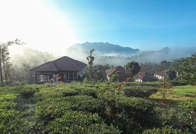 ホテル Jeevess Wellness Resort