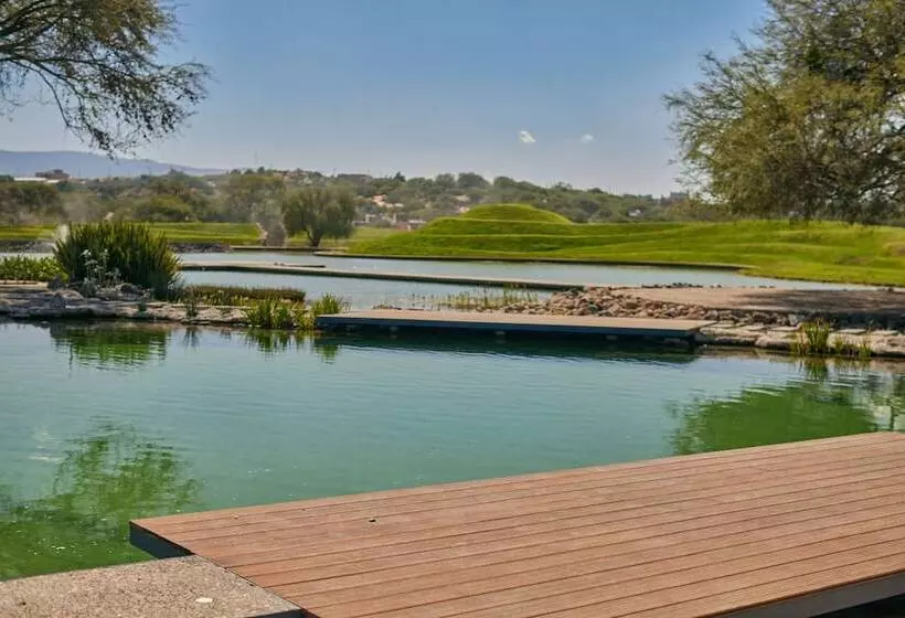 Hotelli Our Habitas San Miguel De Allende