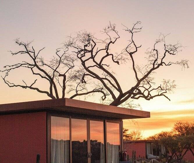 酒店 Our Habitas San Miguel De Allende