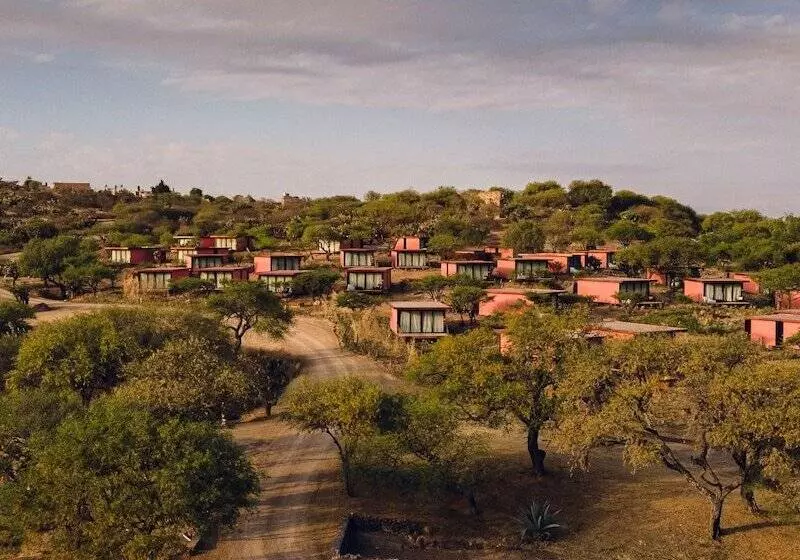 Hotelli Our Habitas San Miguel De Allende