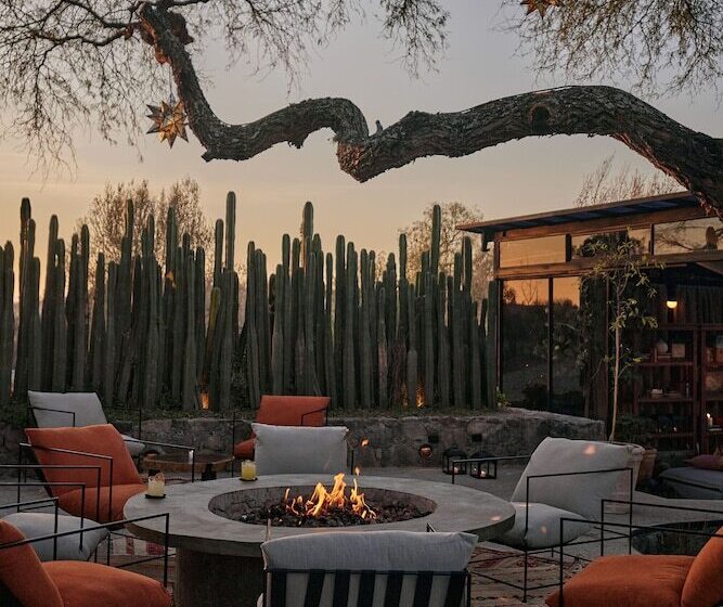 酒店 Our Habitas San Miguel De Allende