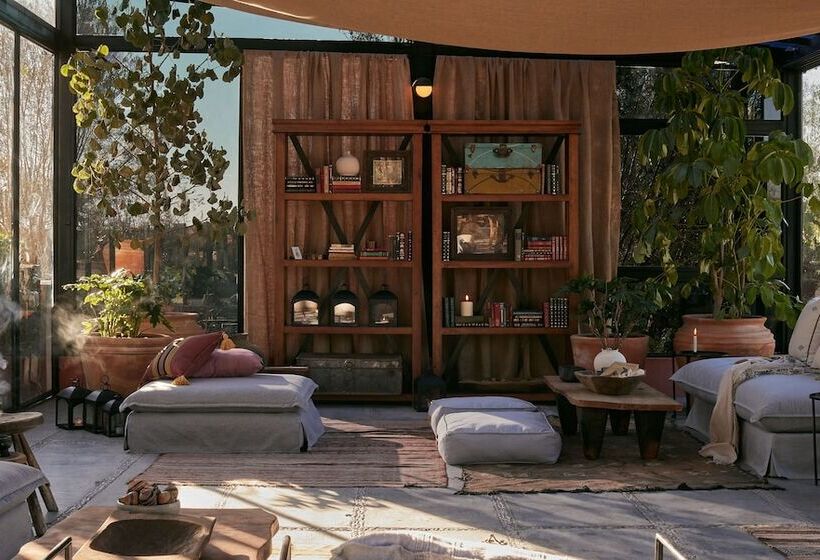 酒店 Our Habitas San Miguel De Allende