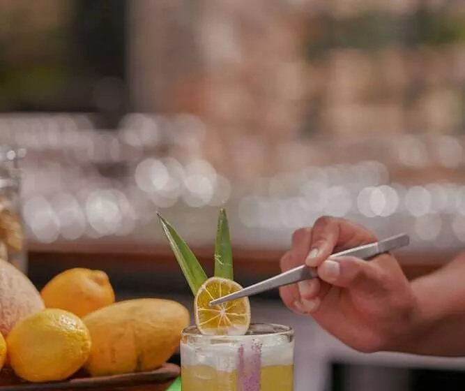 Hotelli Our Habitas San Miguel De Allende