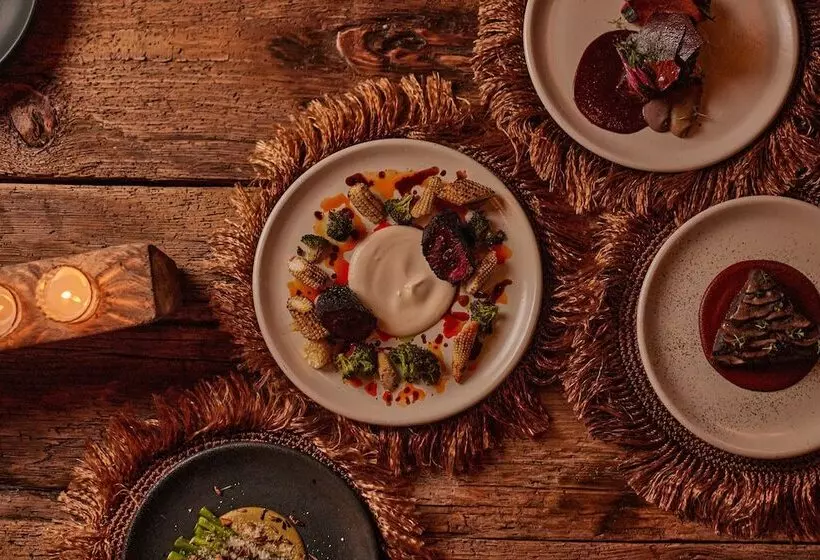 Hotelli Our Habitas San Miguel De Allende