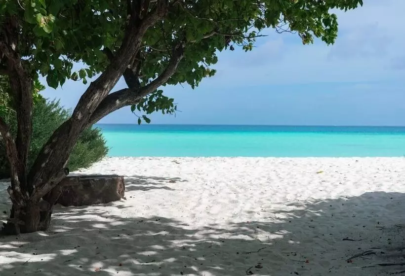هتل Sands Grand
