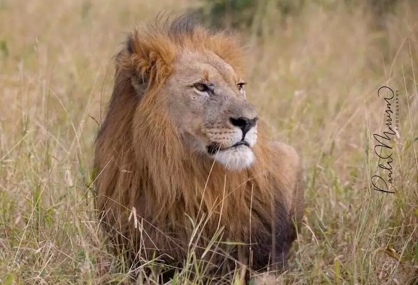 Hotelli Sungulwane Private Game Lodge