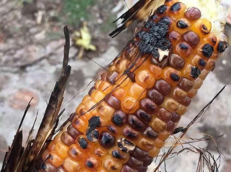 Hotelli & Temazcal Hacienda Maxthá