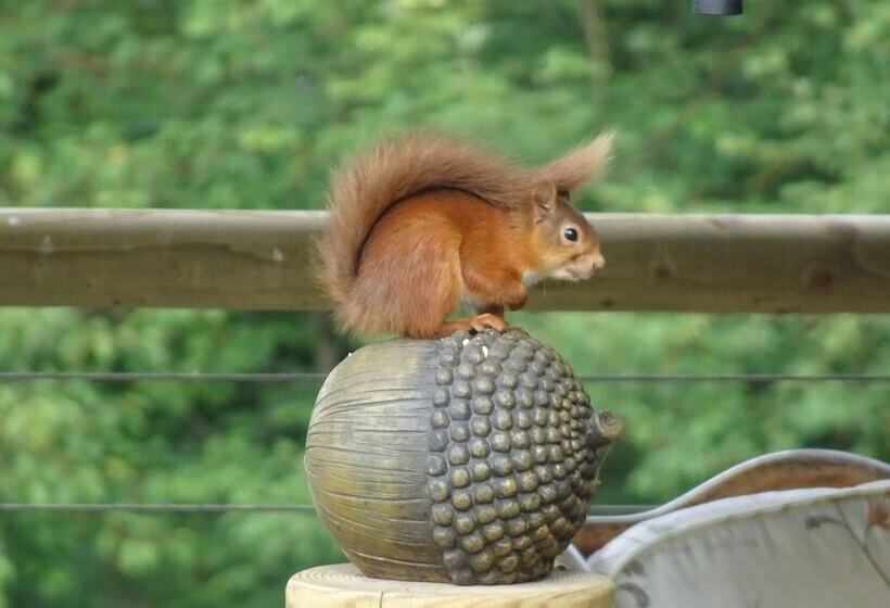 Black Burn Lodge B & B