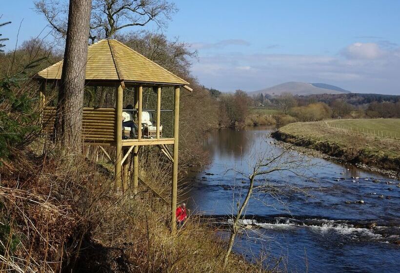 Black Burn Lodge B & B