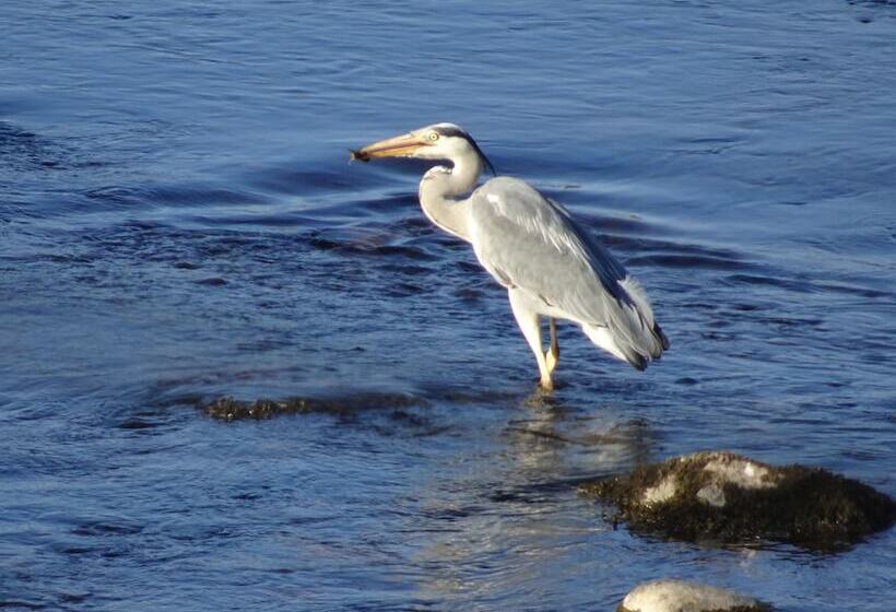 Black Burn Lodge B & B