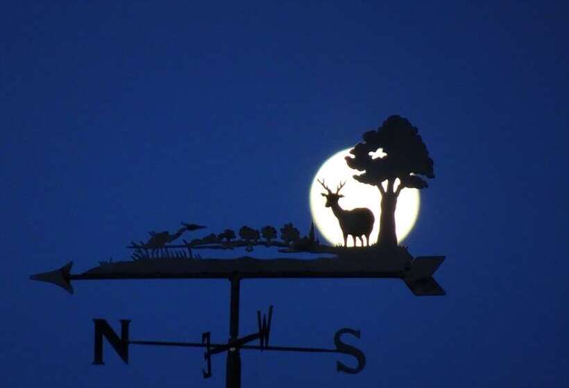 Black Burn Lodge B & B