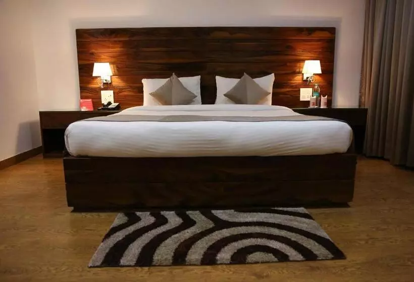 ホテル Ana Clarks Inn Panchkula