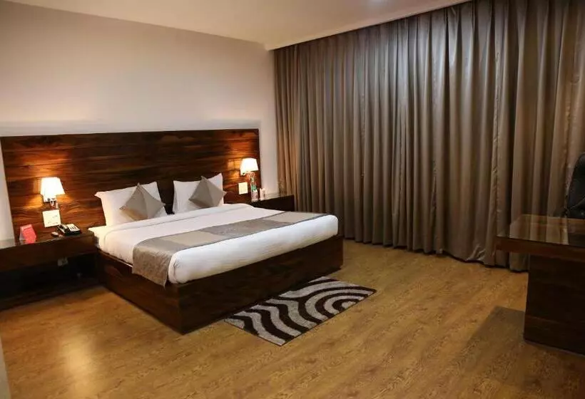 ホテル Ana Clarks Inn Panchkula
