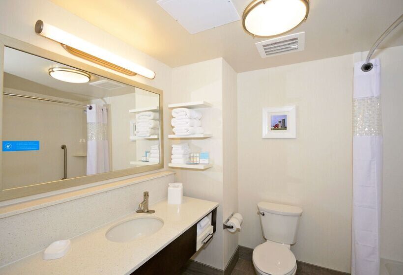 호텔 Hampton Inn Pulaski